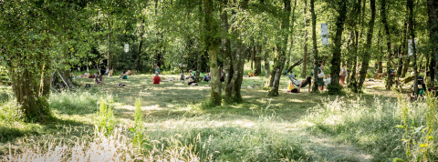 People in a glade - some in hammocks, some lying in the grass. Sun is shining and the vibe is green and happy.
