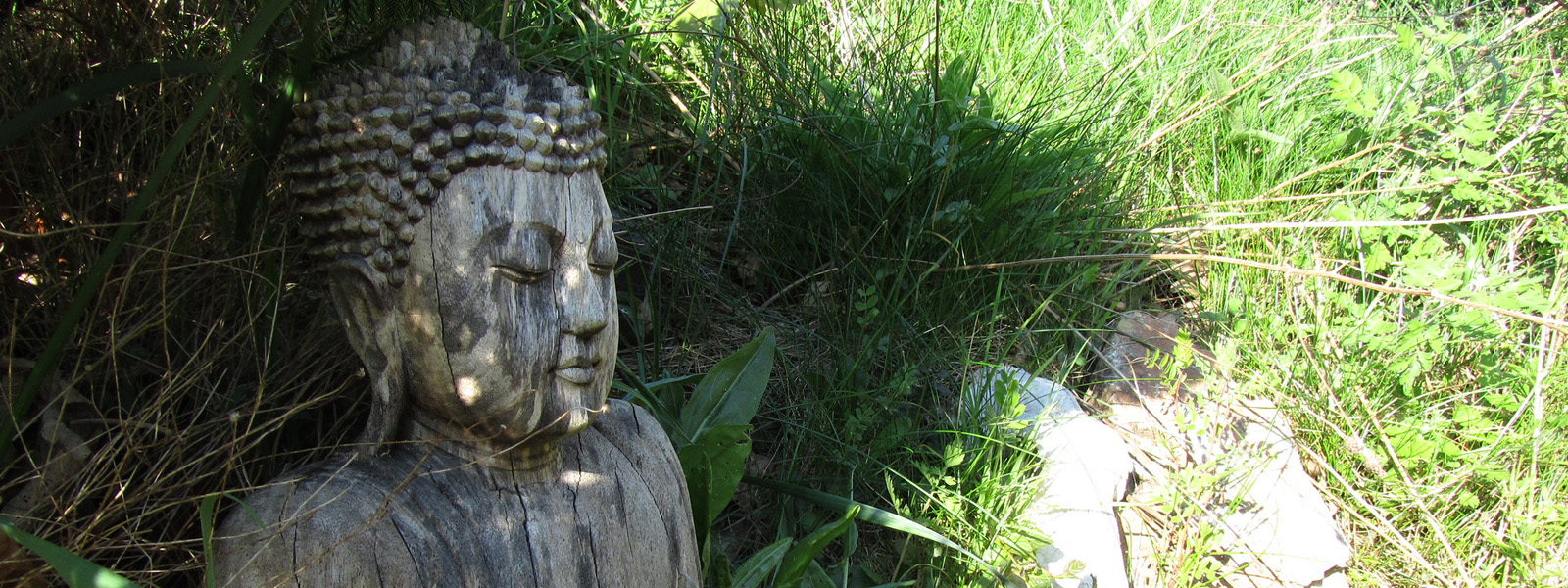Buddha in a field